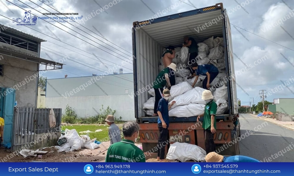 Kimchi Driftwood Import from Vietnam: Best Wholesale Volume Rates