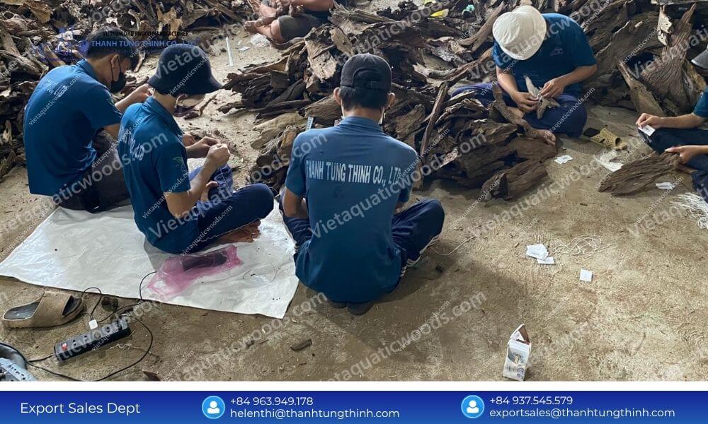 Maximize B2B Profits with a Factory Direct Kimchi Driftwood Exporter from Vietnam