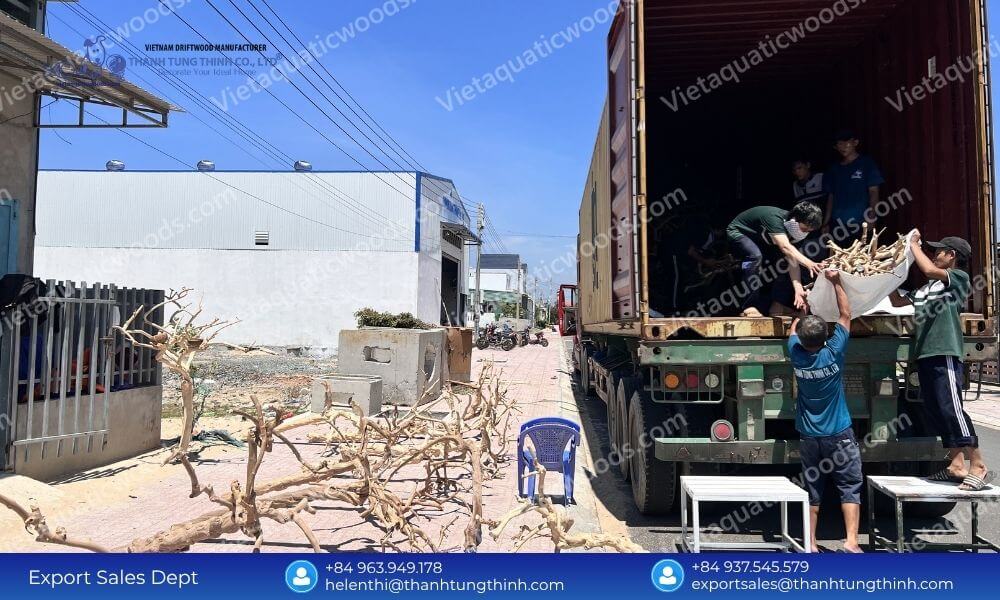 Maximize B2B Profits with a Factory Direct Kimchi Driftwood Exporter from Vietnam
