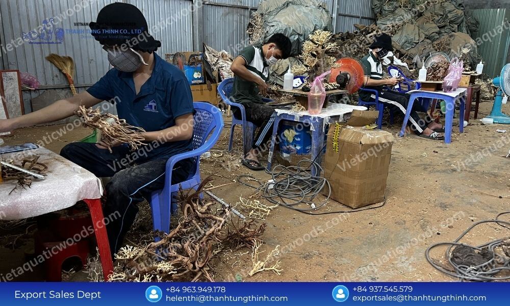Maximize B2B Profits with a Factory Direct Kimchi Driftwood Exporter from Vietnam