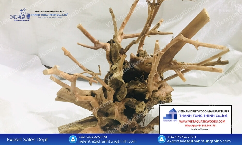 Meeting Peak Demand: Choosing a High-Capacity Kimchi Driftwood Supplier