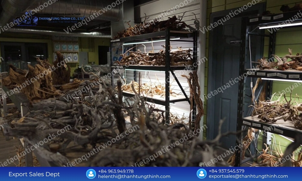 Meeting Peak Demand: Choosing a High-Capacity Kimchi Driftwood Supplier