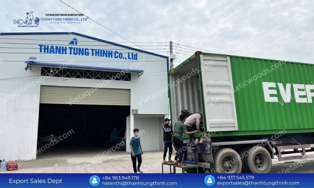 Meeting Peak Demand: Choosing a High-Capacity Kimchi Driftwood Supplier