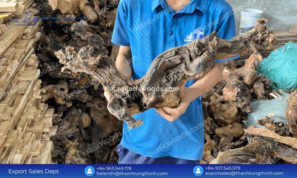 Meeting Peak Demand: Choosing a High-Capacity Kimchi Driftwood Supplier