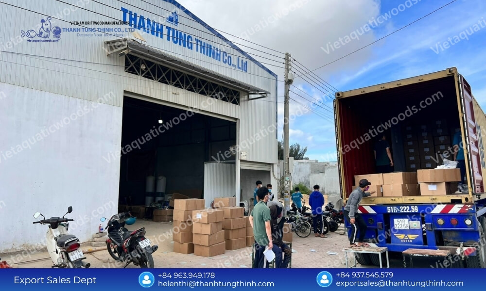 Premium Kimchi Driftwood OEM Manufacturer: Full Turnkey B2B Services
