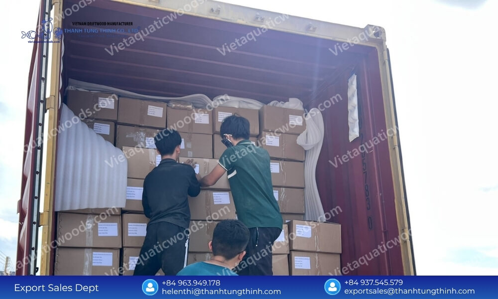 Premium Kimchi Driftwood Wholesale Supplier for Pet and Aquarium Industry