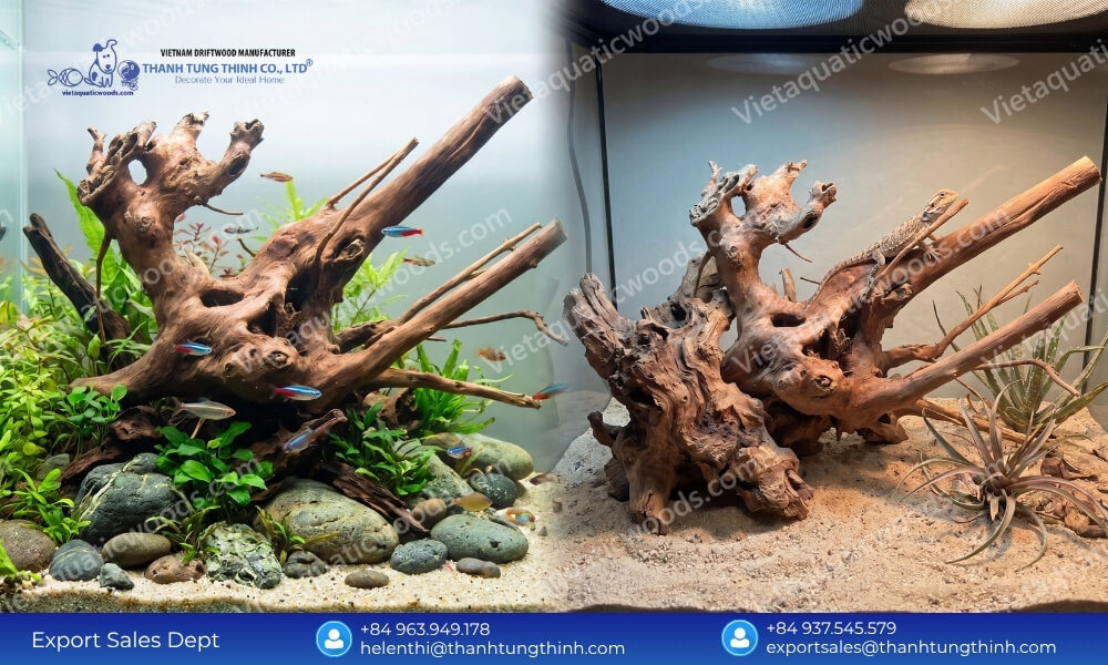 Premium Kimchi Driftwood Wholesale Supplier for Pet and Aquarium Industry