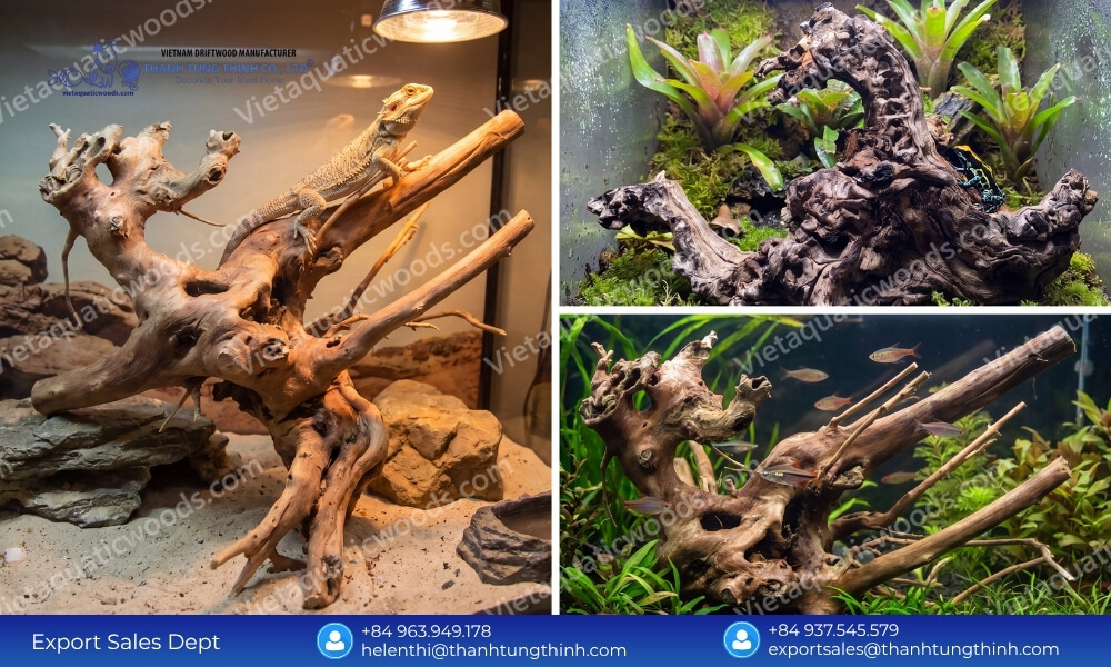 Premium Kimchi Driftwood Wholesale Supplier for Pet and Aquarium Industry