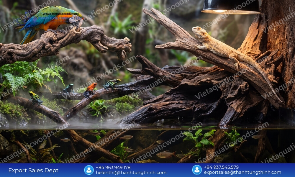 Premium Kimchi Driftwood Wholesale Supplier for Pet and Aquarium Industry