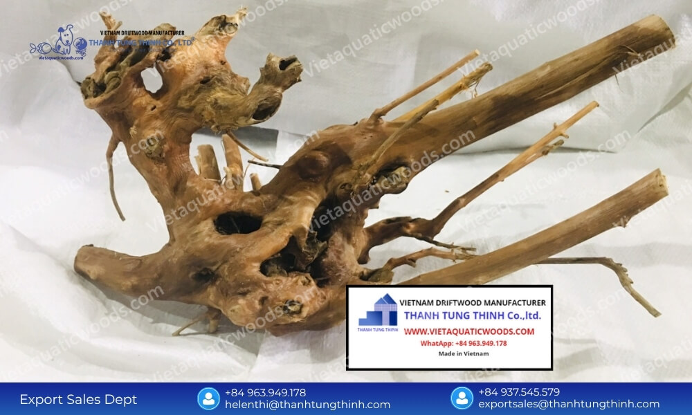 Premium Kimchi Driftwood Wholesale Supplier for Pet and Aquarium Industry