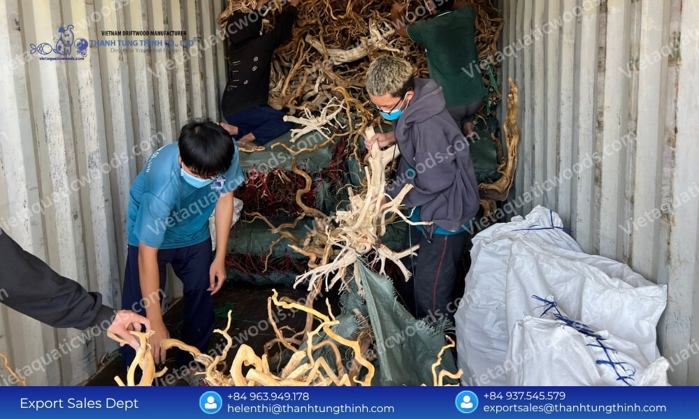 Premium Kimchi Driftwood Wholesale Supplier for Pet and Aquarium Industry