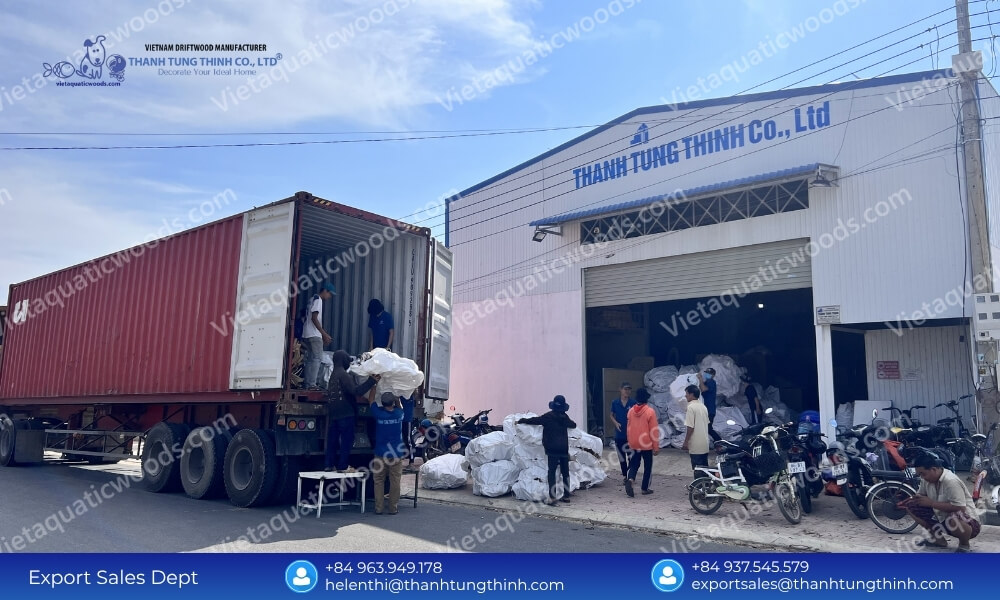Premium Kimchi Driftwood Wholesale Supplier for Pet and Aquarium Industry