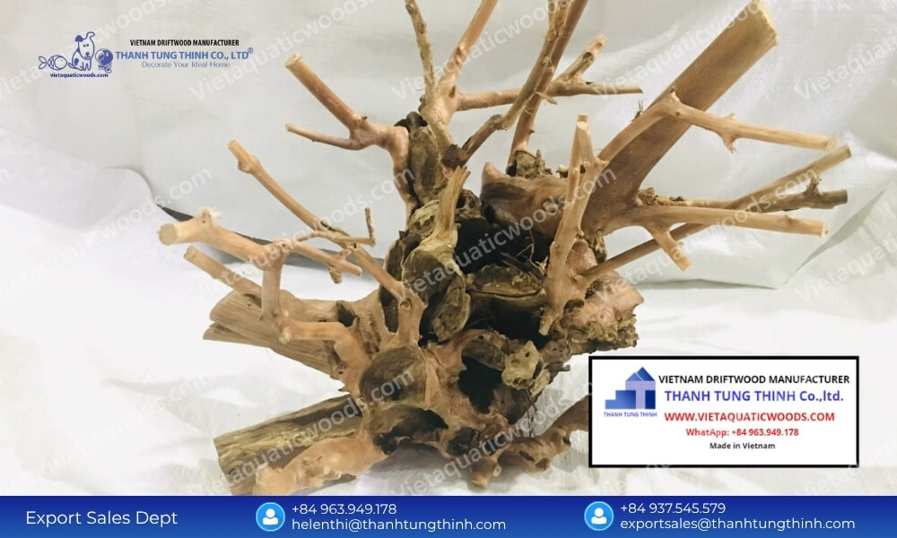 Price Stability Agreements: Partnering with a Kimchi Driftwood Bulk Supplier