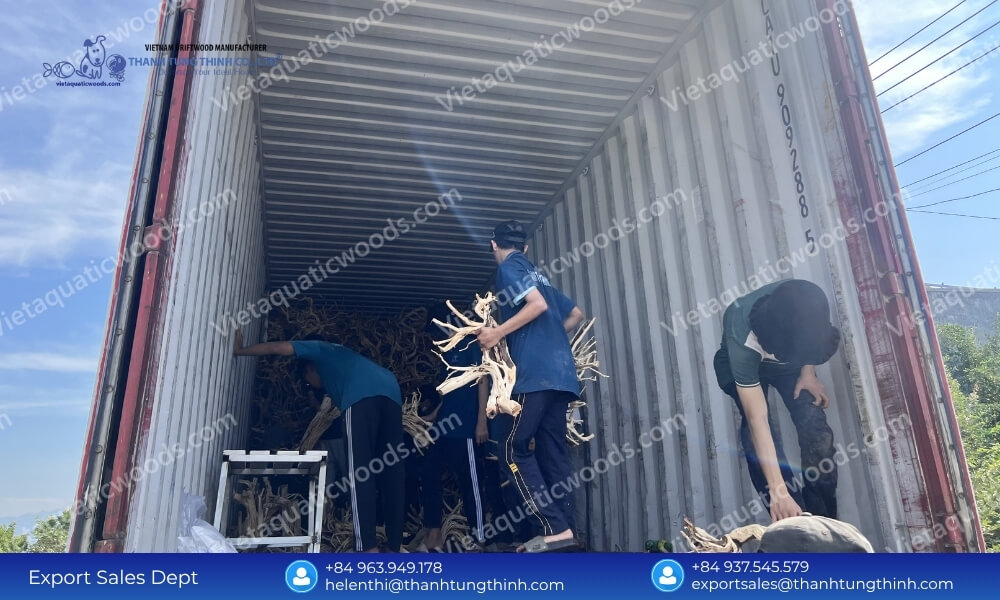 Price Stability Agreements: Partnering with a Kimchi Driftwood Bulk Supplier