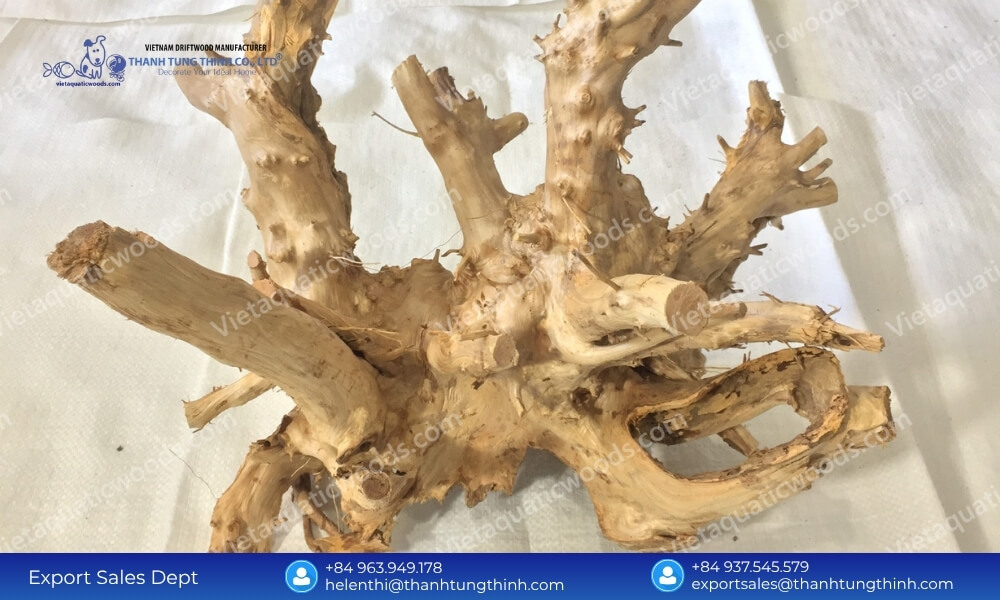 Price Stability Agreements: Partnering with a Kimchi Driftwood Bulk Supplier