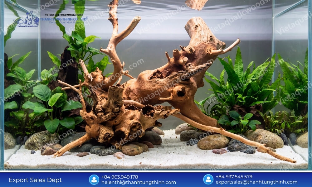Safe Aquascaping: Kimchi Driftwood Bulk Supplier for Aquarium Retailers