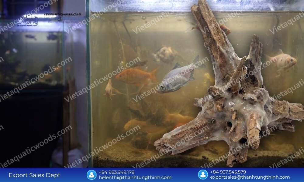 Safe Aquascaping: Kimchi Driftwood Bulk Supplier for Aquarium Retailers