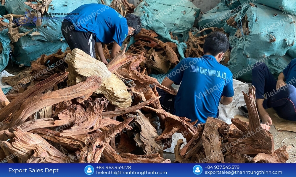 Safe Aquascaping: Kimchi Driftwood Bulk Supplier for Aquarium Retailers