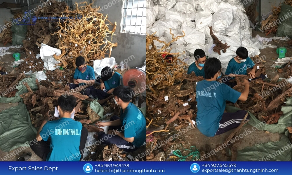 Safe Aquascaping: Kimchi Driftwood Bulk Supplier for Aquarium Retailers