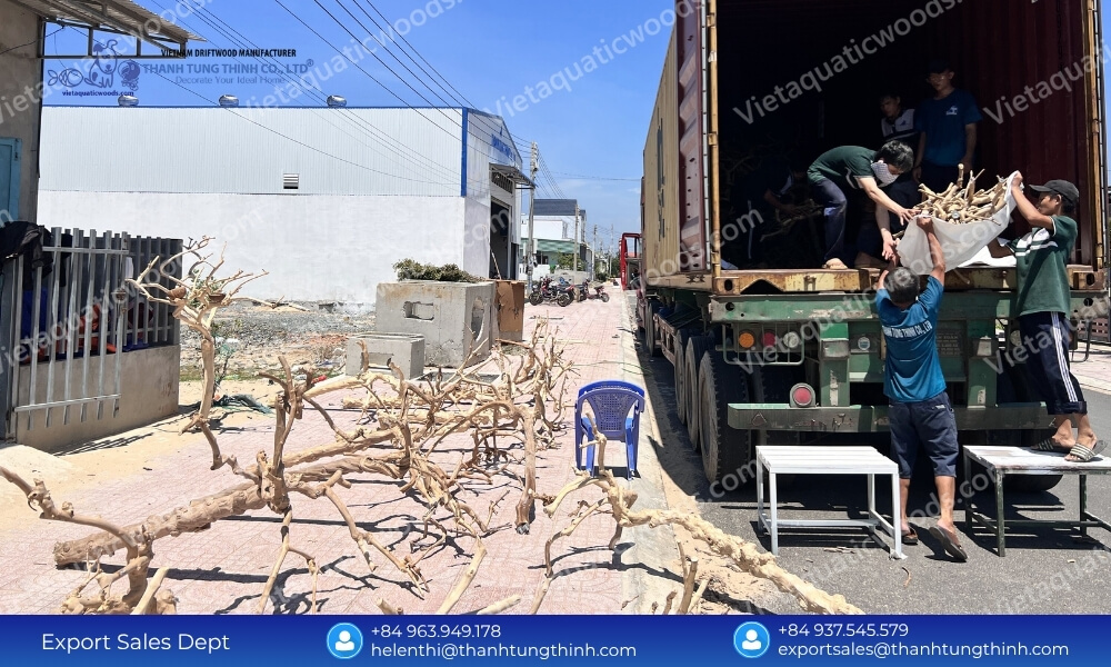 Sam Driftwood Supplier: Direct Factory Source & Best Prices