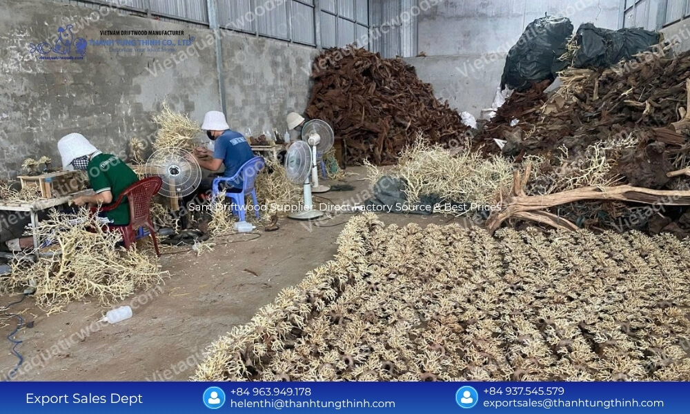 Sam Driftwood Supplier: Direct Factory Source & Best Prices