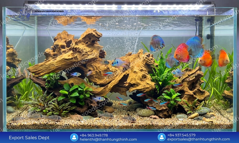 Sam Driftwood Supplier: Direct Factory Source & Best Prices