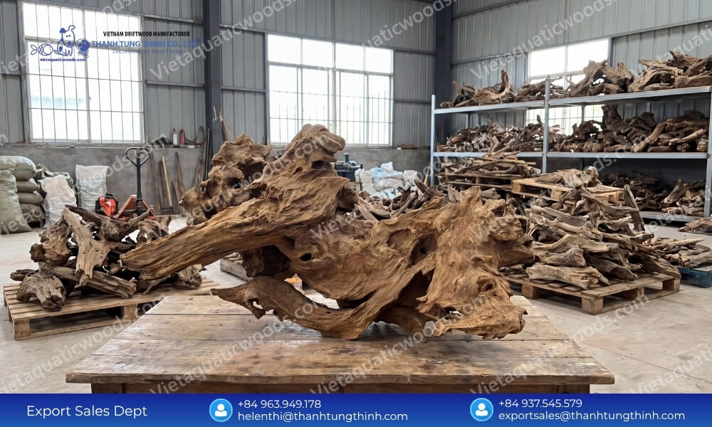 Sam Driftwood Supplier: Direct Factory Source & Best Prices