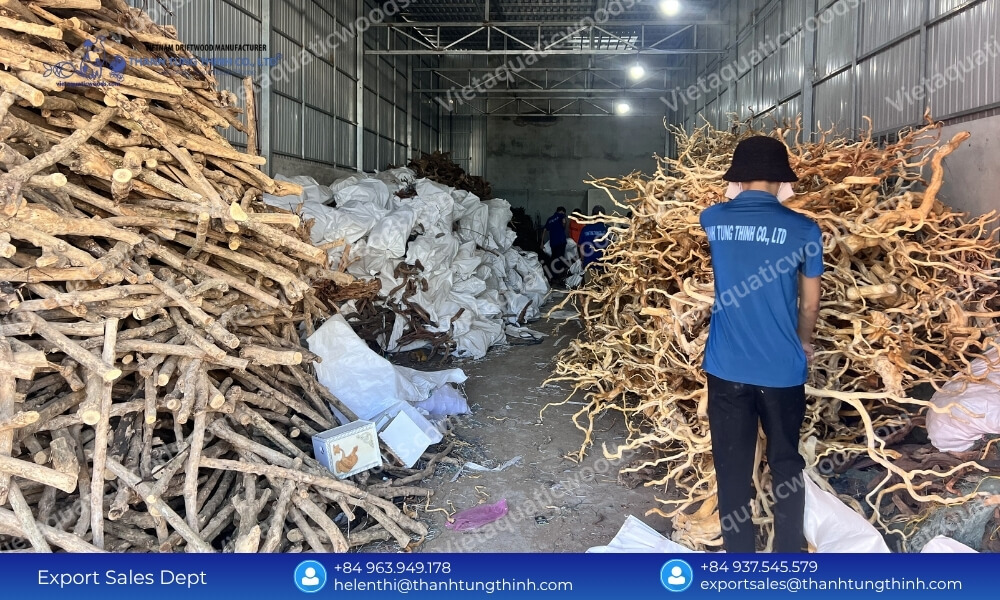 Sam Driftwood Supplier: Direct Factory Source & Best Prices