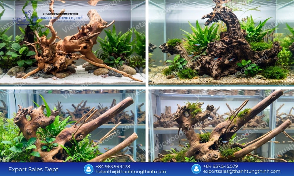 Top Kimchi Driftwood ODM Supplier: Custom Aquascaping Designs & Layouts