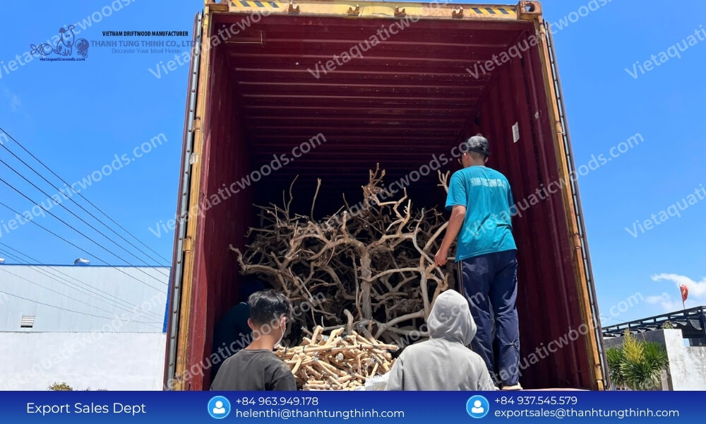 Top Reliable Sam Driftwood Supplier for International Distributors