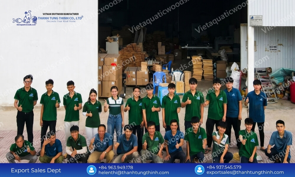 Top Reliable Sam Driftwood Supplier for International Distributors