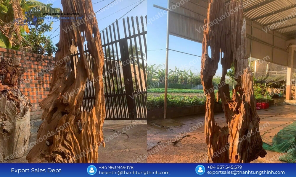 Why We Are the Ultimate Sam Driftwood Supplier for Aquarium Lovers