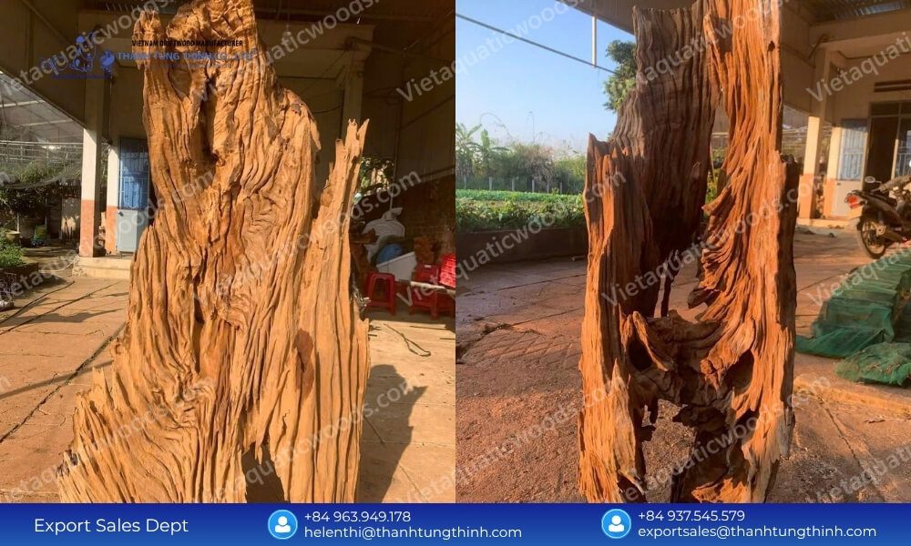 Why We Are the Ultimate Sam Driftwood Supplier for Aquarium Lovers