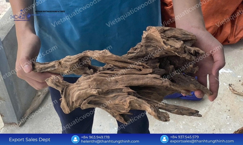 Why We Are the Ultimate Sam Driftwood Supplier for Aquarium Lovers