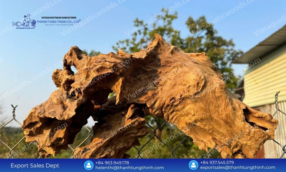 Why We Are the Ultimate Sam Driftwood Supplier for Aquarium Lovers