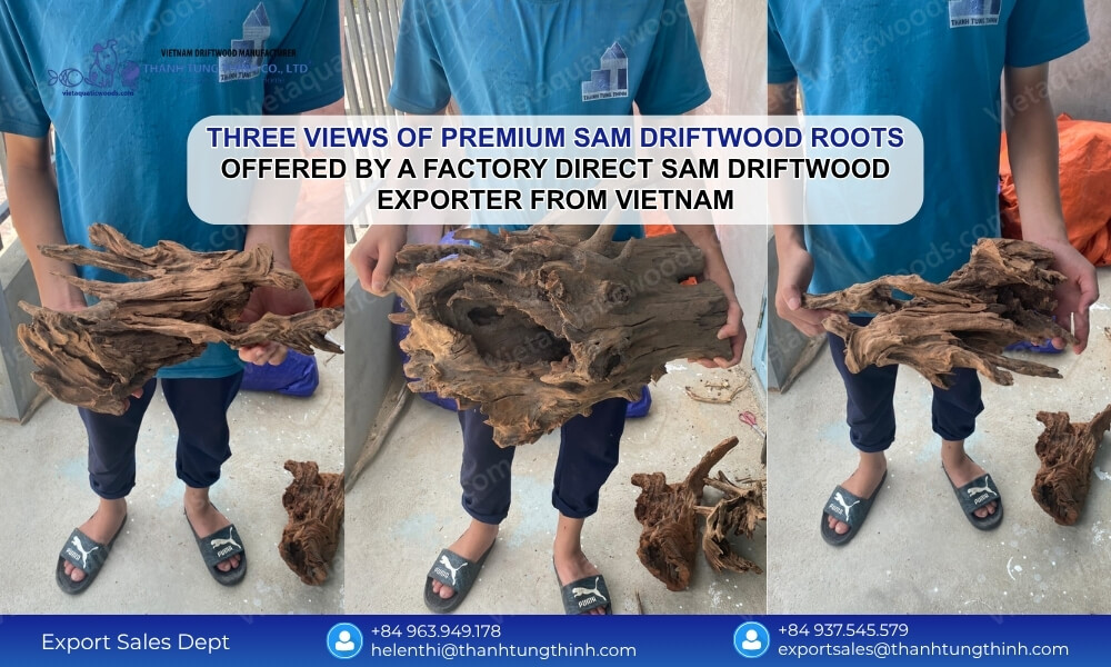 Why Your Business Needs a Factory Direct Sam Driftwood Exporter from Vietnam