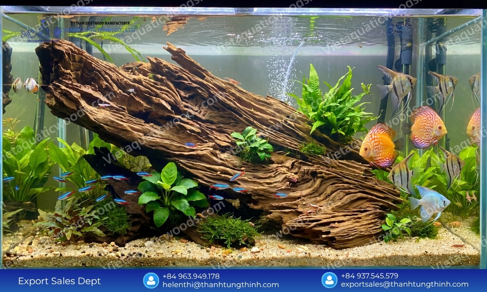 Best Sam Driftwood Wholesale Supplier for Aquariums