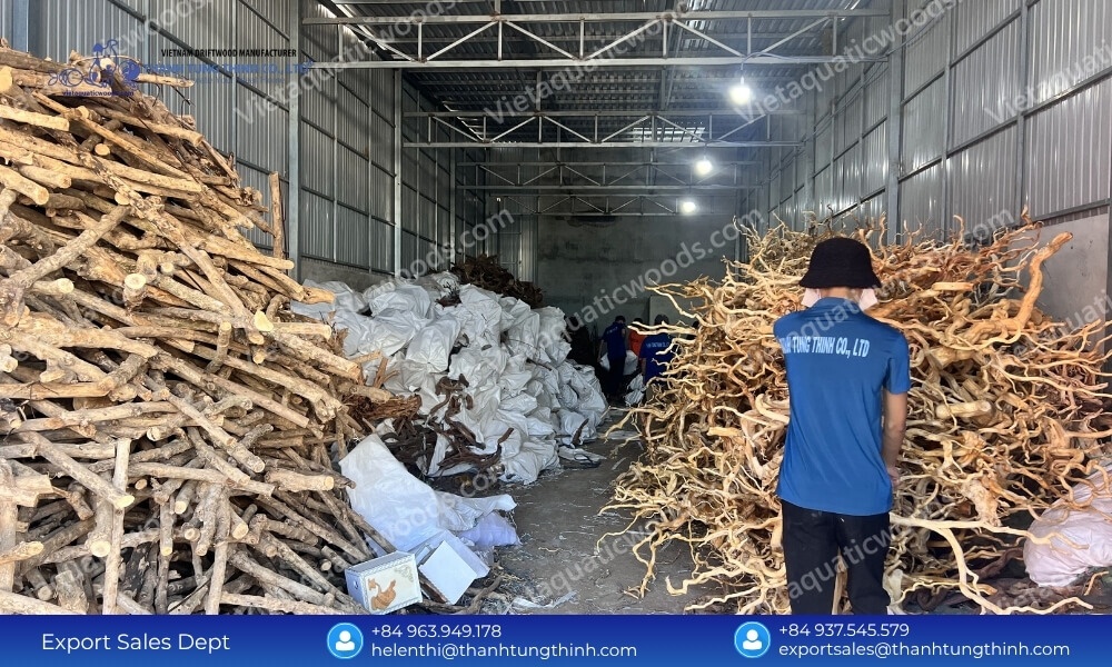 Best Sam Driftwood Wholesale Supplier for Aquariums