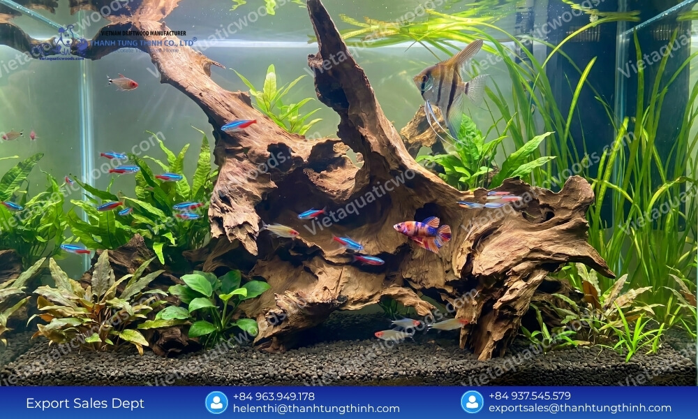 Best Sam Driftwood Wholesale Supplier for Aquariums