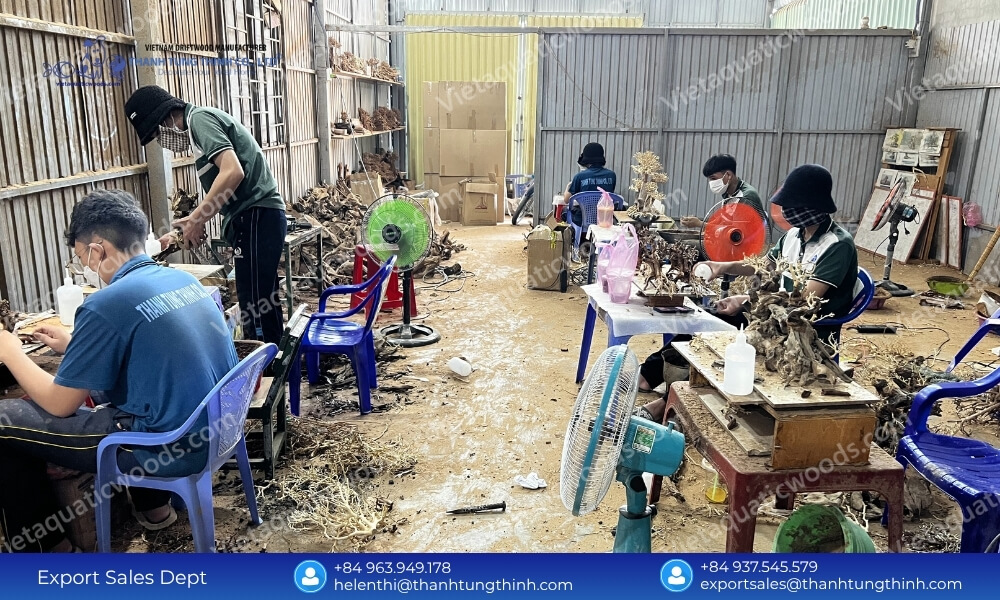 Best Sam Driftwood Wholesale Supplier for Aquariums