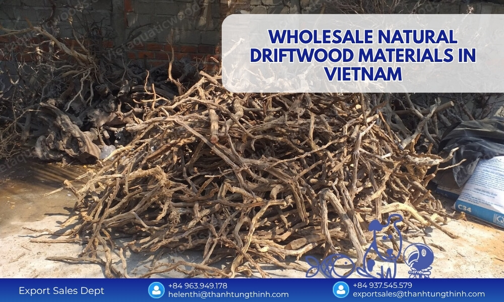 Wholesale natural driftwood materials in Vietnam