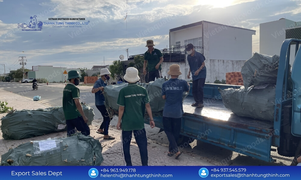 Leading Sam Driftwood ODM Supplier & Factory Direct