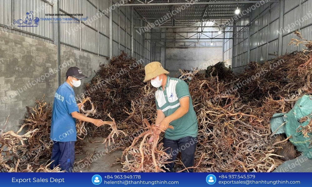 chemical free sam driftwood Supplier for aquascaping crafted by nature chosen with care
