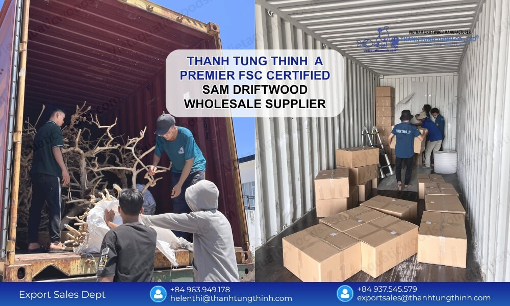 The Premier FSC Certified Sam Driftwood Wholesale Supplier for the USA