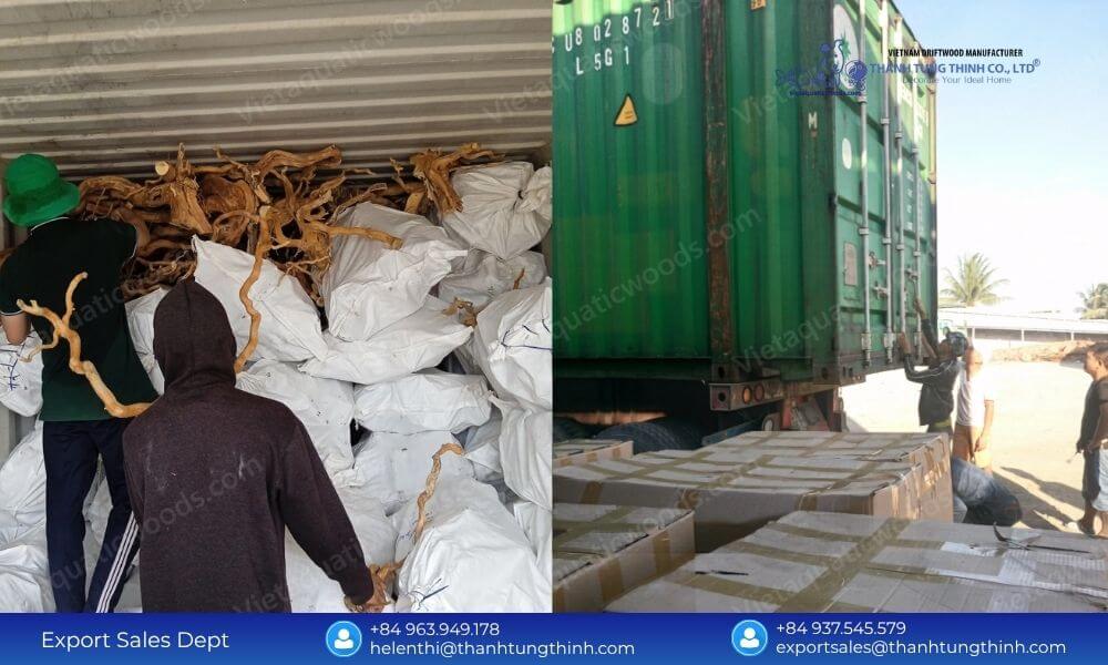 Global Sam Driftwood Distributor - Fast Shipping Best Price