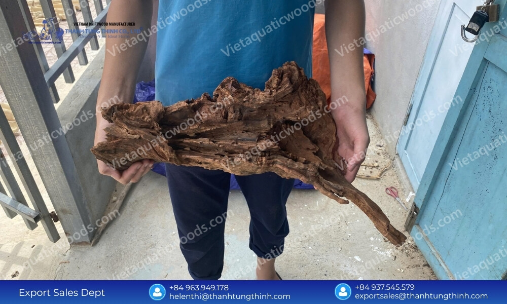 curated masterpieces the ultimate sam driftwood for Aquascaping wholesale selection