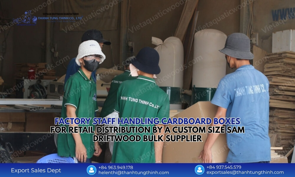 Custom Size Sam Driftwood Bulk Supplier: Vietnam Factory Export Quality