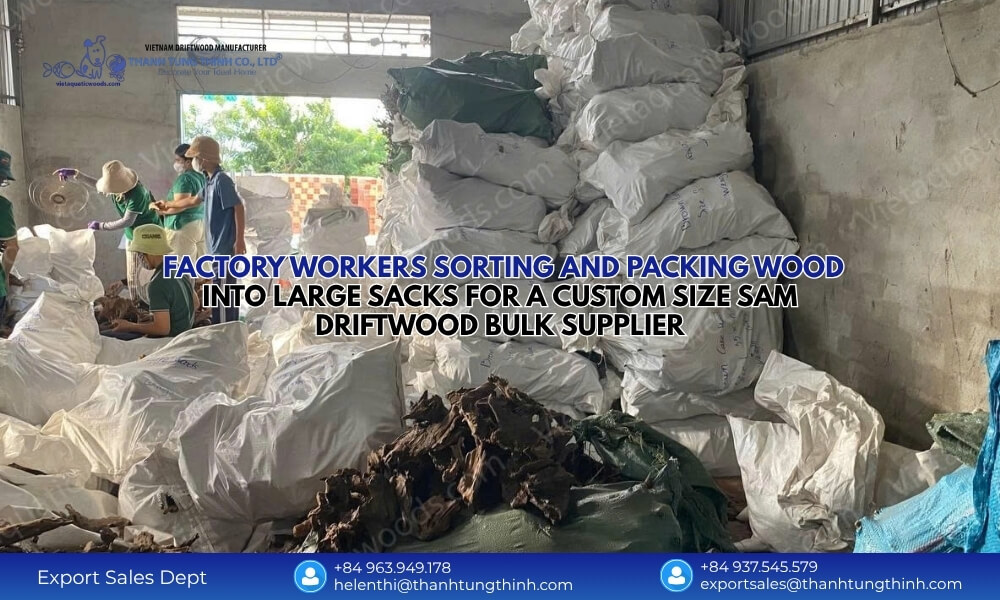 Custom Size Sam Driftwood Bulk Supplier: Vietnam Factory Export Quality