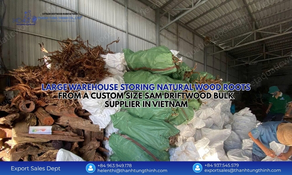 Custom Size Sam Driftwood Bulk Supplier: Vietnam Factory Export Quality