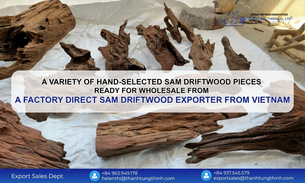 Why Your Business Needs a Factory Direct Sam Driftwood Exporter from Vietnam